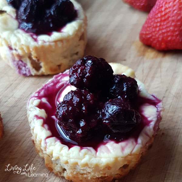 Delicious mixed berries cheesecake recipe the whole family will love