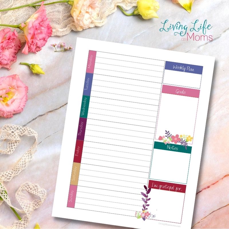 pretty weekly schedule printable