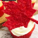 %%title%% A delicious cupcake recipe that is perfect for Canada Day. This Canada Cupcake recipe is one that you'll want to make year after year!