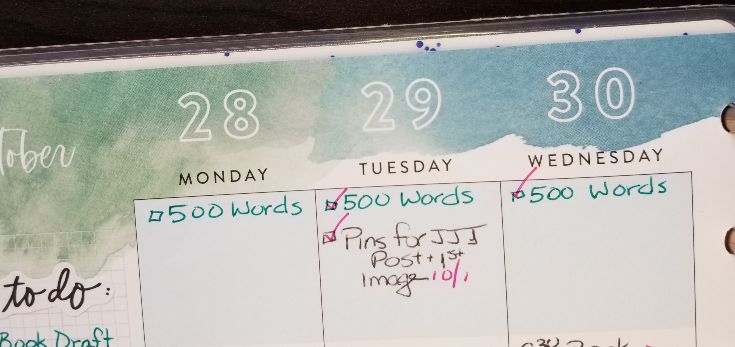 habit tracking on planner days