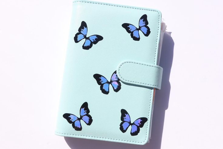 budget binder butterflies from Etsy