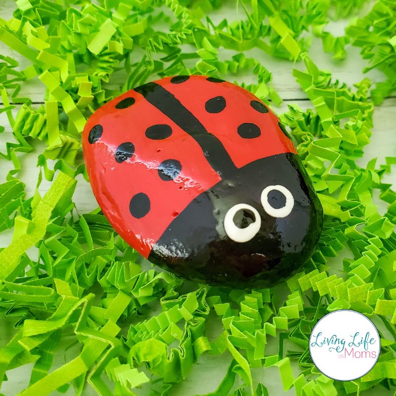 How to paint a ladybug rock