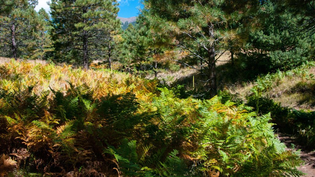 Biking is another popular activity in Flagstaff, with many trails and roads to explore