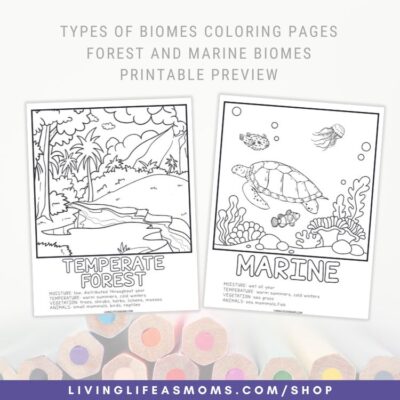 temperate forest biome animals include reptiles like turtles and salamanders. Marine biome plants include red algae, kelp, seagrass, phytoplankton, and sargassum.