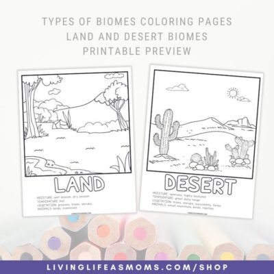 Land Biome definition is a type of land that shares the same climate, plants, and animals. Desert Biomes animals include different mammals including rats, cats, foxes, wild dogs, birds and more. 