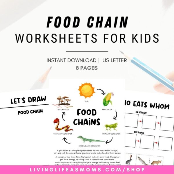 Food Chain Activity Set Printable Food Chain Activity Set Printable