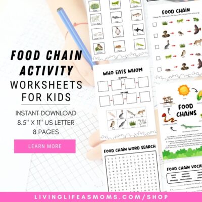 Food Chain Activity Set Worksheets for Kids Food Chain Activity Set Worksheets for Kids