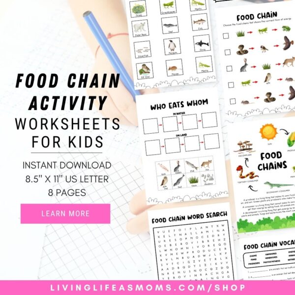 Food Chain Activity Set Worksheets for Kids Food Chain Activity Set Worksheets for Kids