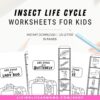Insect life cycle printable activity set
