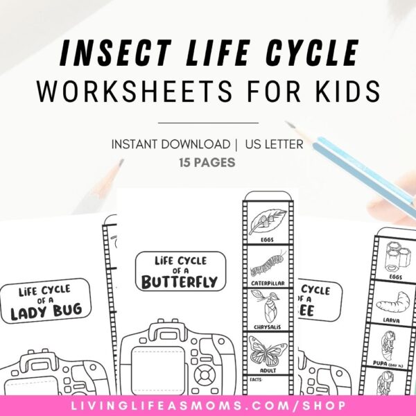 Insect life cycle printable activity set