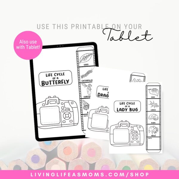Insect life cycle activity set on a tablet