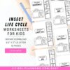 Insect life cycle activity worksheets for kids