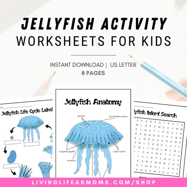 Jellyfish activity worksheets for kids - instant download