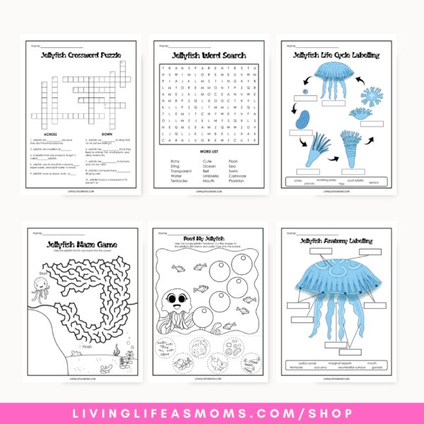 Preview of jellyfish crossword, word search, life cycle and maze worksheets