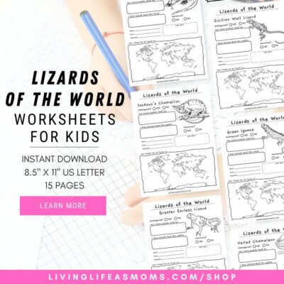 Lizards of the world activity worksheets for kids