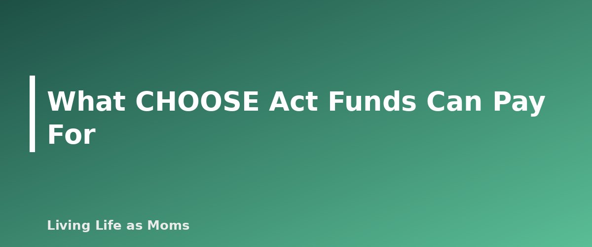 What CHOOSE Act Funds Can Pay For - section banner for Alabama Education Funding Programs
