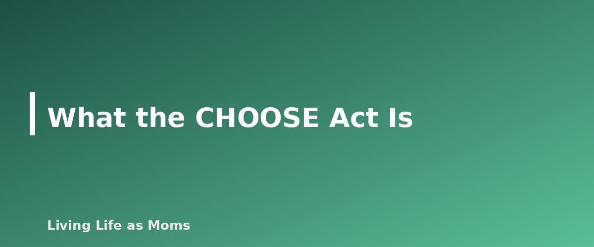 What the CHOOSE Act Is - section banner for Alabama Education Funding Programs