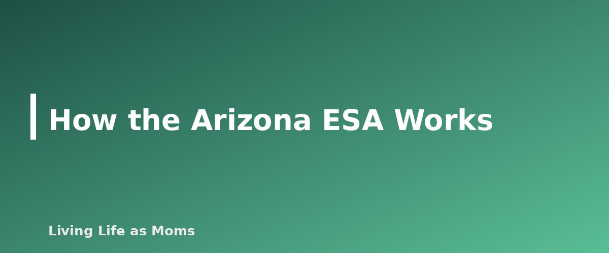 Placeholder banner for How the Arizona ESA Works - Arizona Empowerment Scholarship Accounts (ESA): Who Qualifies and How It Works
