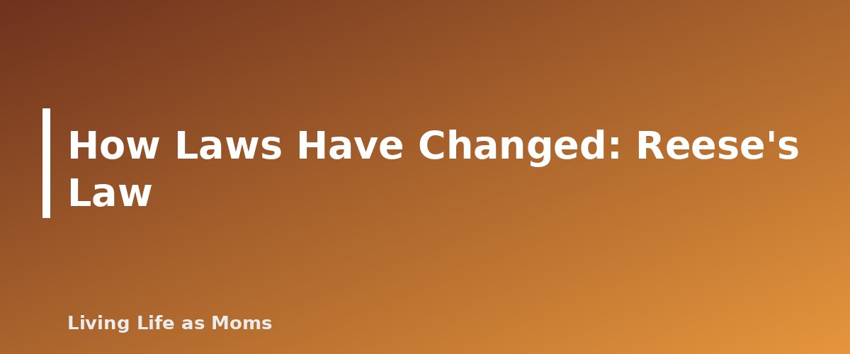 How Laws Have Changed: Reese's Law - section banner for Button Batteries and Magnets