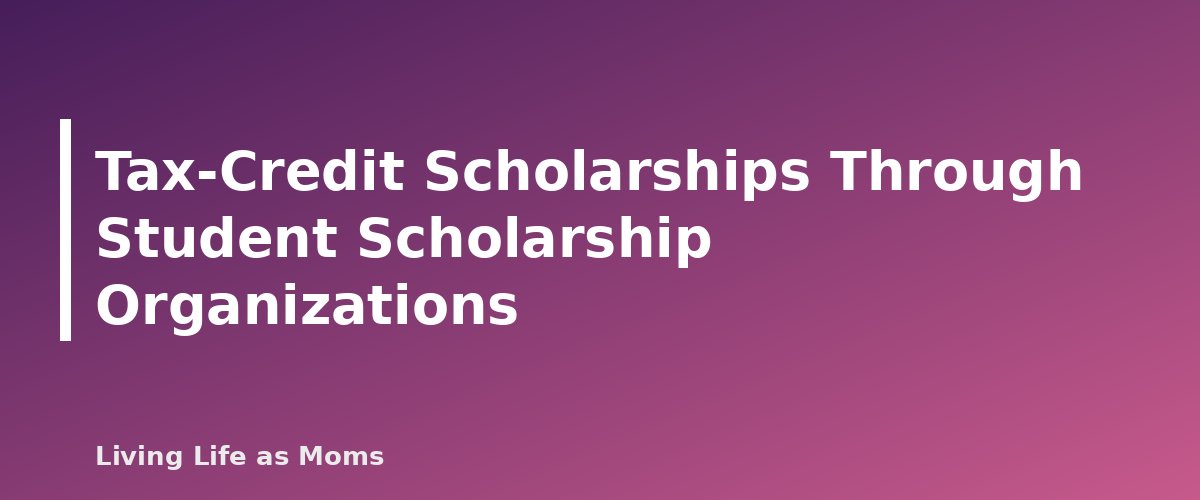 Tax-Credit Scholarships Through Student Scholarship Organizations - section banner for Georgia Education Funding Programs