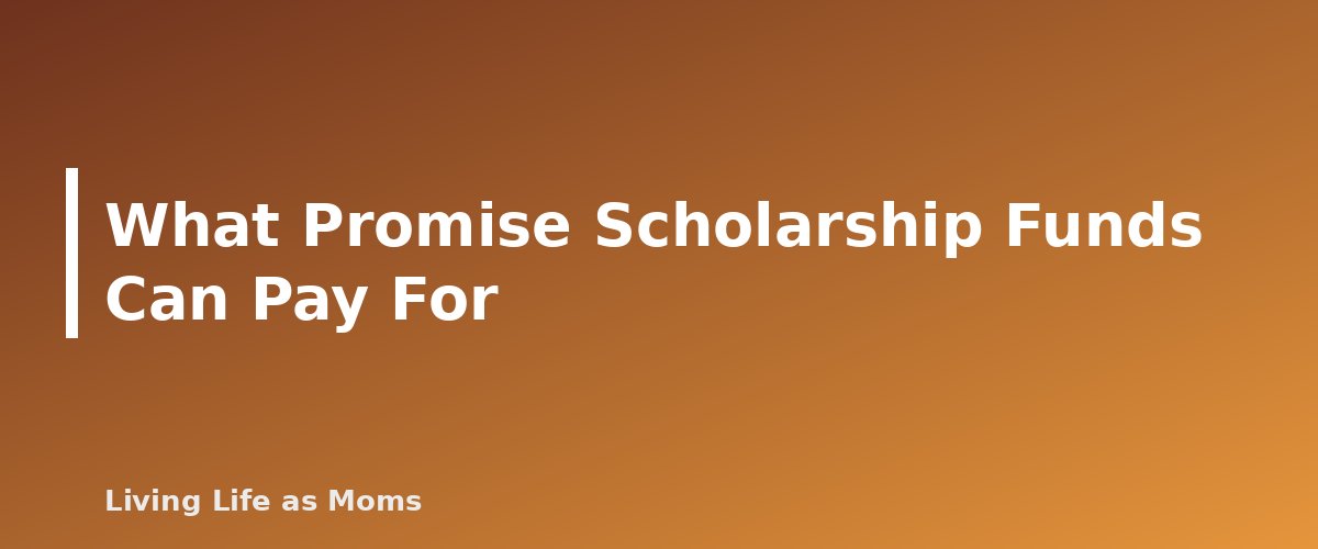 What Promise Scholarship Funds Can Pay For - section banner for Georgia Education Funding Programs