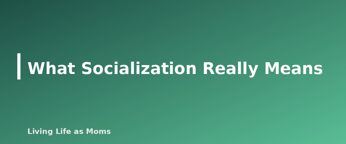 Placeholder banner for What Socialization Really Means - Homeschool Co-ops and Socialization: How to Find Your People