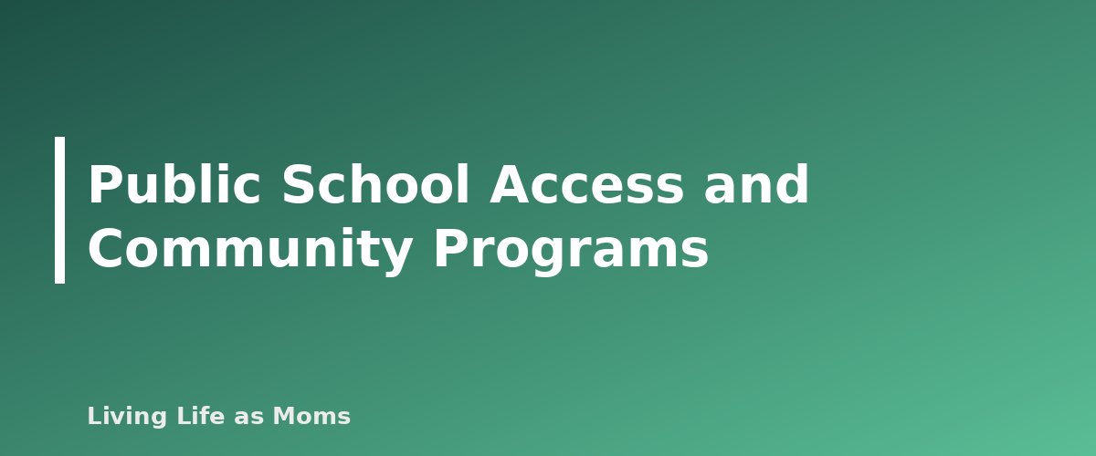 Placeholder banner for Public School Access and Community Programs - Homeschool Co-ops and Socialization: How to Find Your People