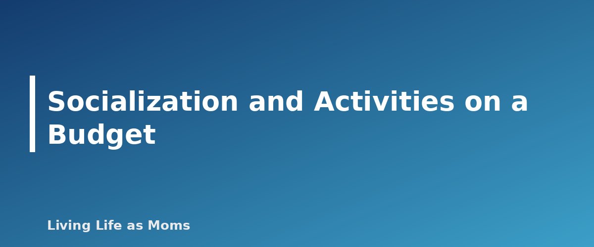 Socialization and Activities on a Budget - section banner for Homeschooling on One Income