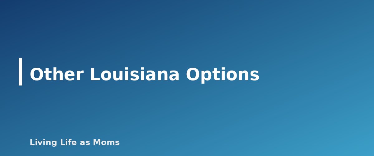 Other Louisiana Options - section banner for Louisiana Education Funding Programs