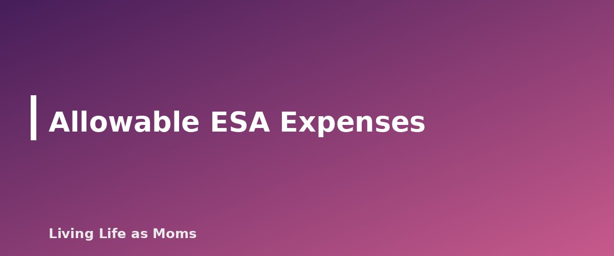 Allowable ESA Expenses - section banner for Mississippi Education Funding Programs