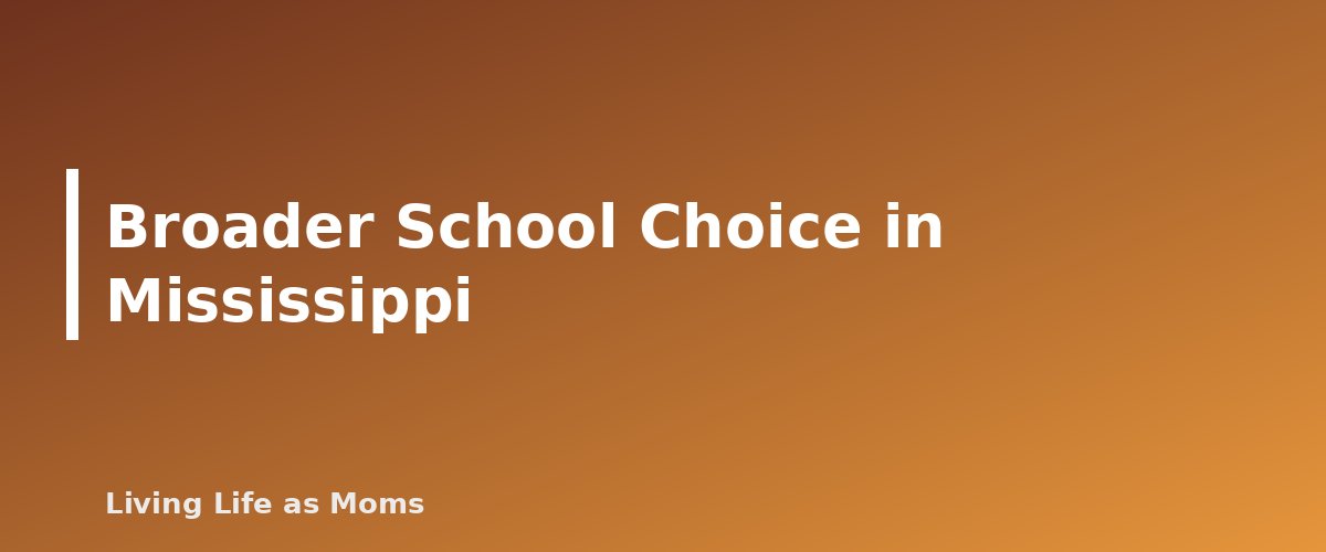 Broader School Choice in Mississippi - section banner for Mississippi Education Funding Programs