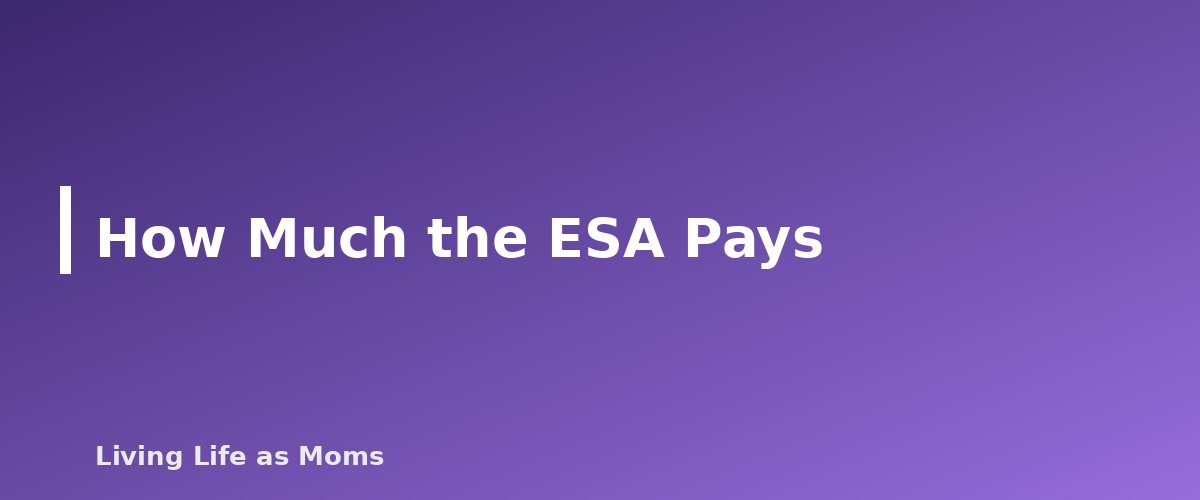 How Much the ESA Pays - section banner for Mississippi Education Funding Programs