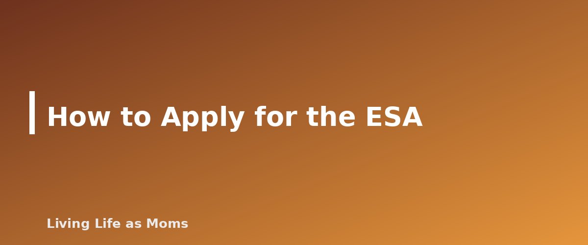 How to Apply for the ESA - section banner for Mississippi Education Funding Programs