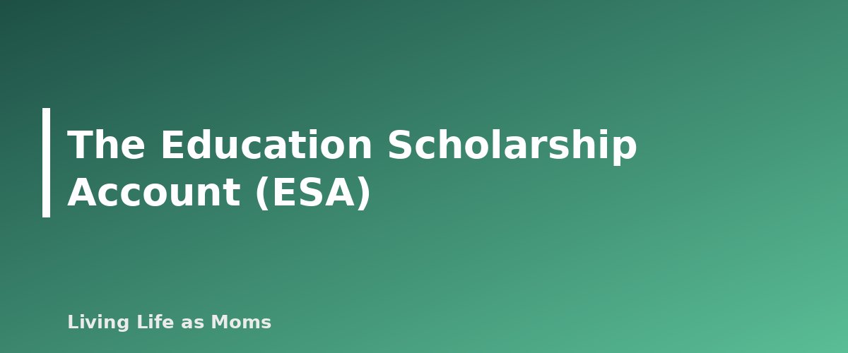 The Education Scholarship Account (ESA) - section banner for Mississippi Education Funding Programs