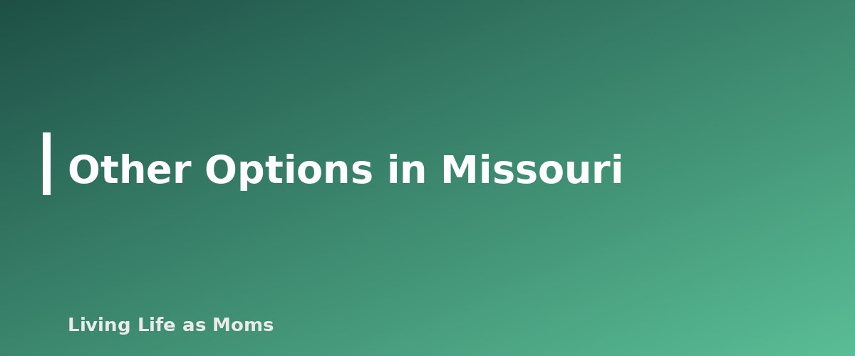 Other Options in Missouri - section banner for Missouri Education Funding Programs