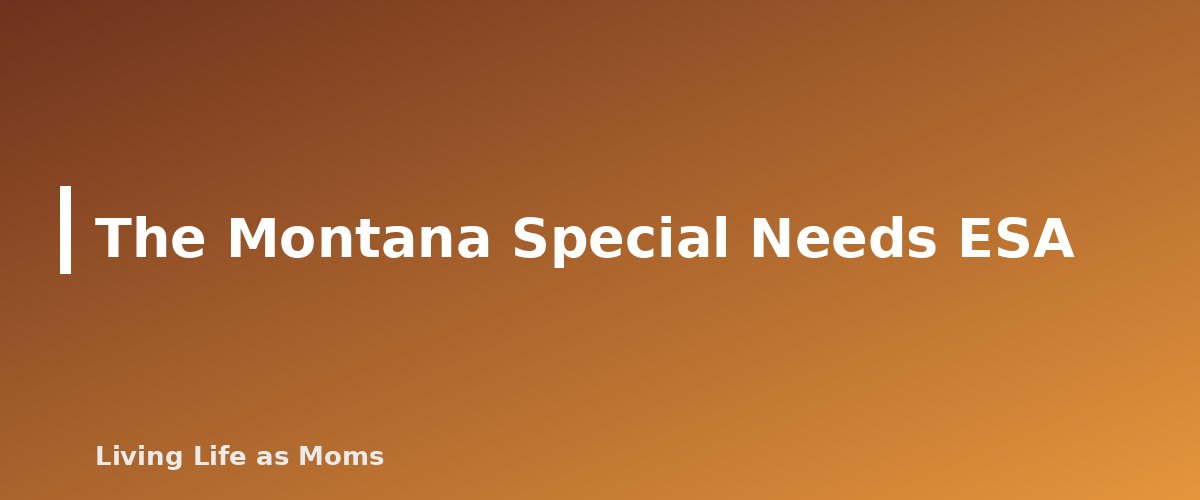 The Montana Special Needs ESA - section banner for Montana Education Funding Programs
