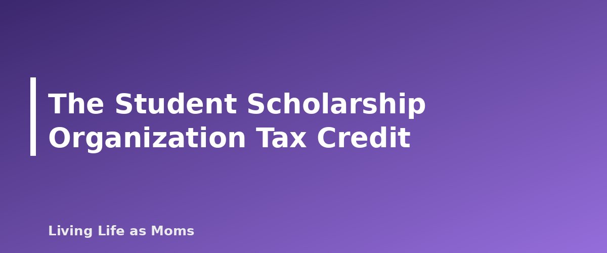 The Student Scholarship Organization Tax Credit - section banner for Montana Education Funding Programs