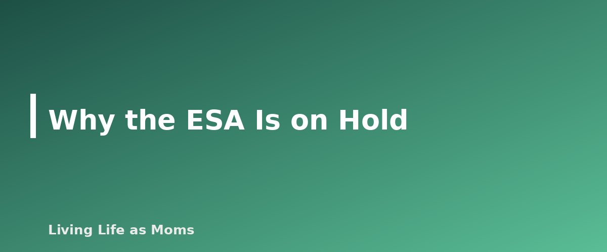 Why the ESA Is on Hold - section banner for Montana Education Funding Programs