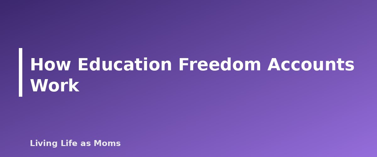 How Education Freedom Accounts Work - section banner for New Hampshire Education Funding Programs