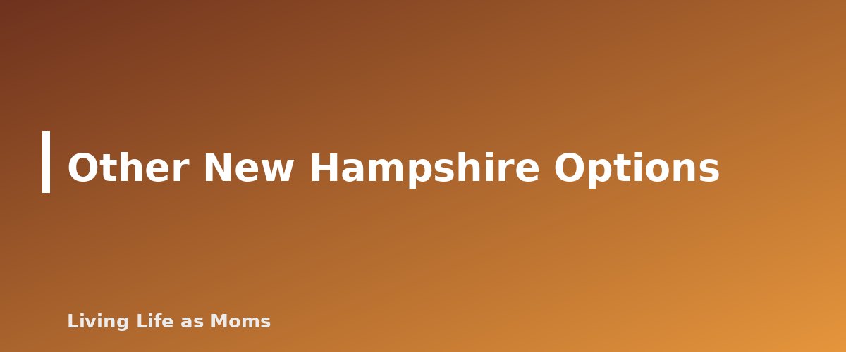 Other New Hampshire Options - section banner for New Hampshire Education Funding Programs