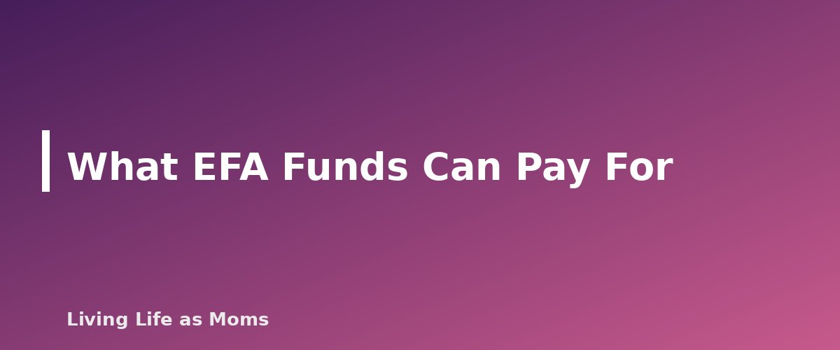 What EFA Funds Can Pay For - section banner for New Hampshire Education Funding Programs