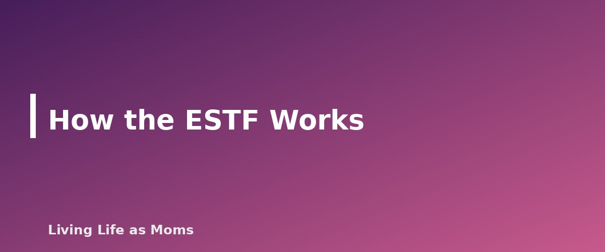 How the ESTF Works - section banner for South Carolina Education Funding Programs