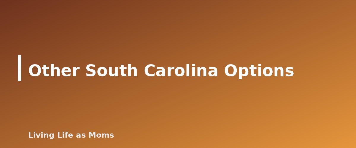 Other South Carolina Options - section banner for South Carolina Education Funding Programs