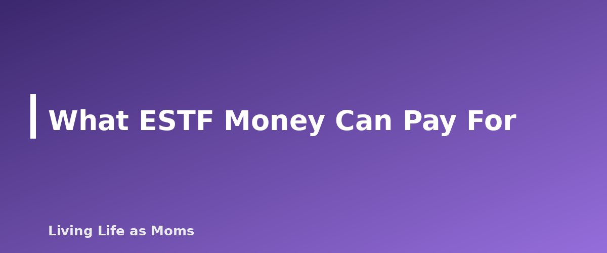What ESTF Money Can Pay For - section banner for South Carolina Education Funding Programs