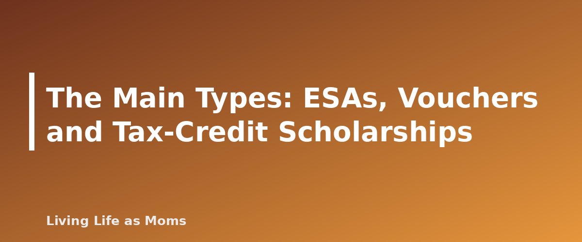 Placeholder banner for The Main Types: ESAs, Vouchers and Tax-Credit Scholarships - State Education Funding Programs for Parents: ESAs, Vouchers and Tax-Credit Scholarships by State (2026-27 Guide)