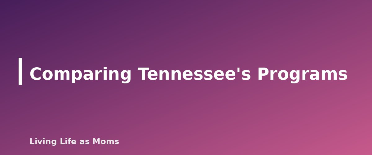 Comparing Tennessee's Programs - section banner for Tennessee Education Funding Programs