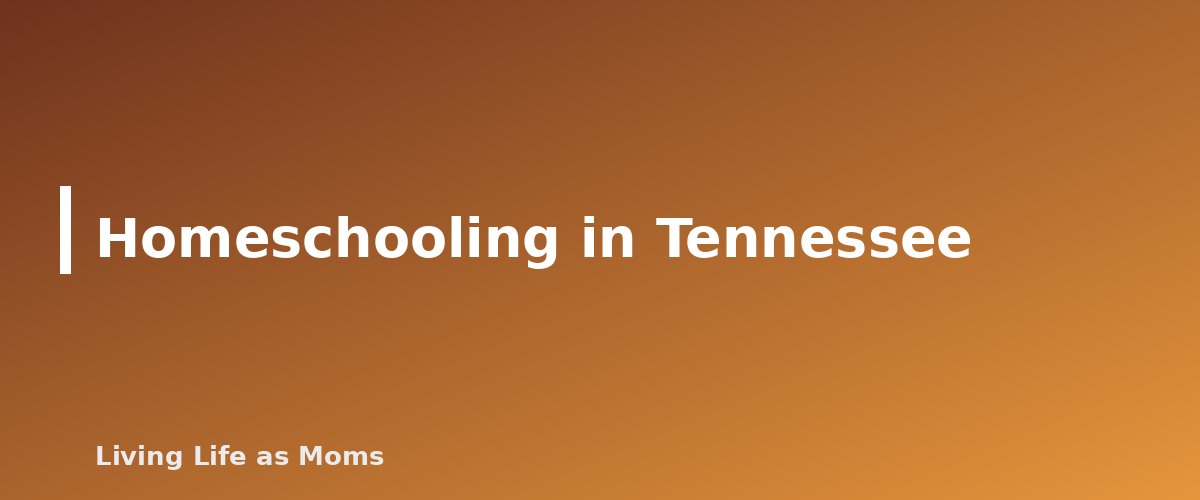 Homeschooling in Tennessee - section banner for Tennessee Education Funding Programs