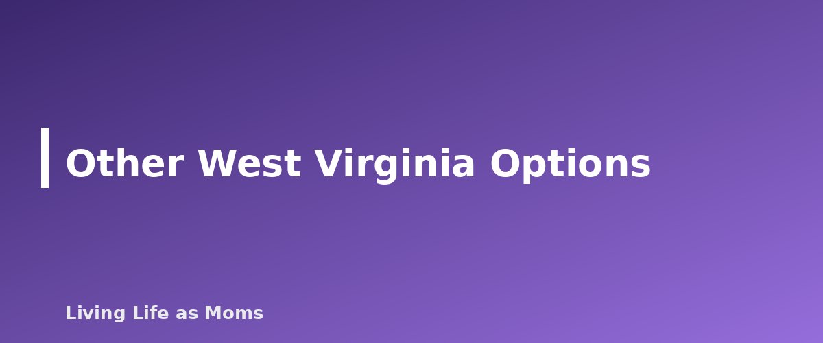 Other West Virginia Options - section banner for West Virginia Education Funding Programs