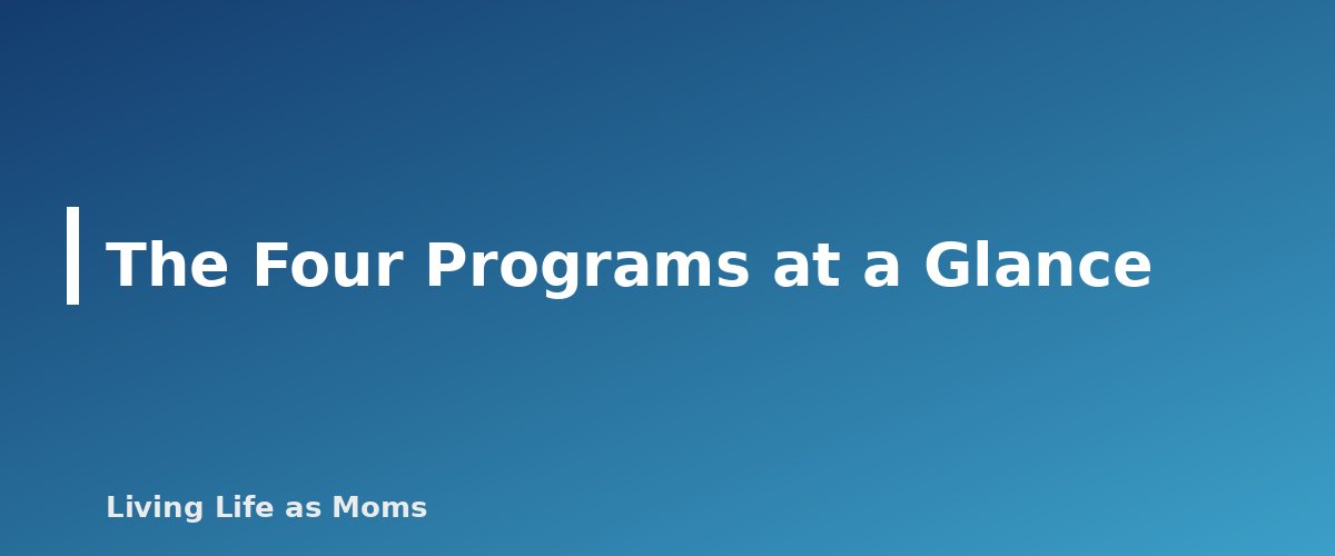 The Four Programs at a Glance - section banner for Wisconsin School Choice Programs