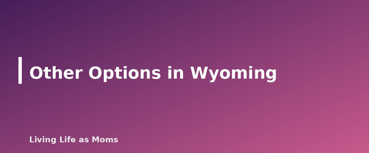 Other Options in Wyoming - section banner for Wyoming Education Funding Programs